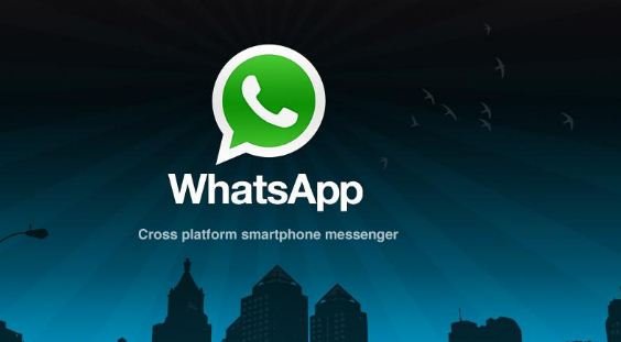 whatsapp video calls in groups