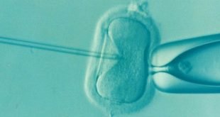 The discovery could open a new era in fertilization treatments