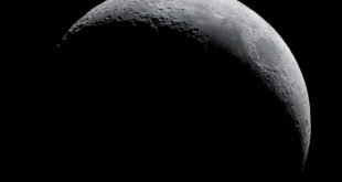 New study suggests that the Moon may have once had a primitive life